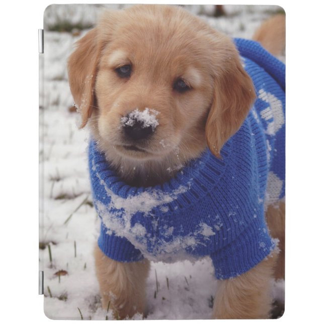 Golden Retriever Puppy iPad Smart Cover (Front)