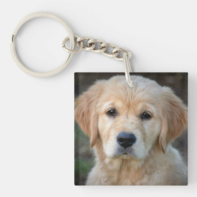 Golden Retriever Puppy Keychain (Front)