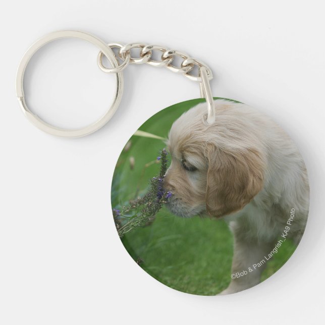 Golden Retriever Puppy Keychain (Front)