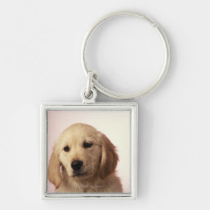 Golden retriever puppy keychain