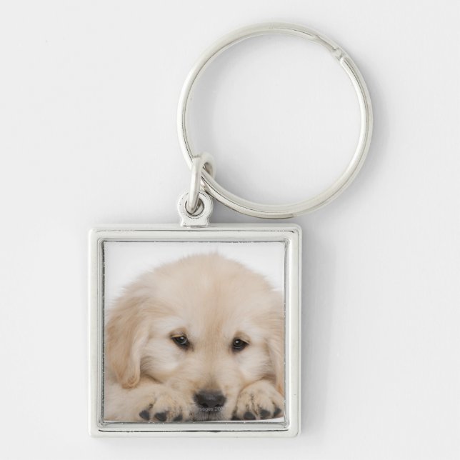 Golden retriever puppy keychain (Front)