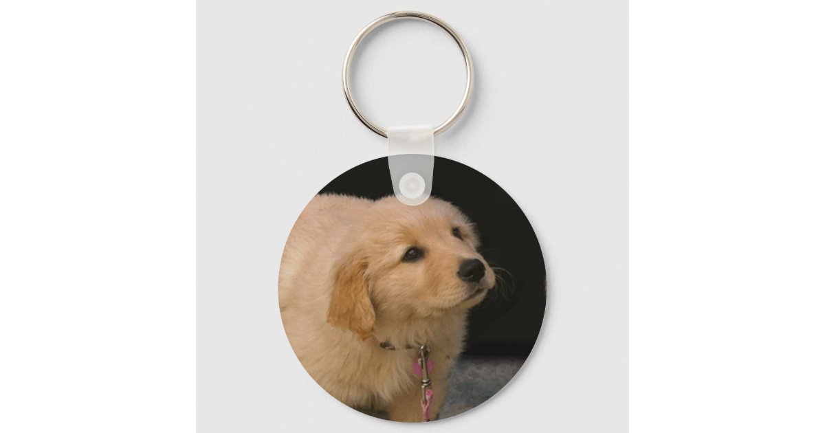 Gift Keychain Golden Retriever Dog Pet Animal Puppy Dogs New with Tags  Metal