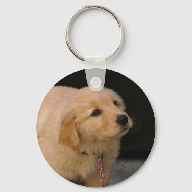 Golden Retriever Puppy Keychain (Front)