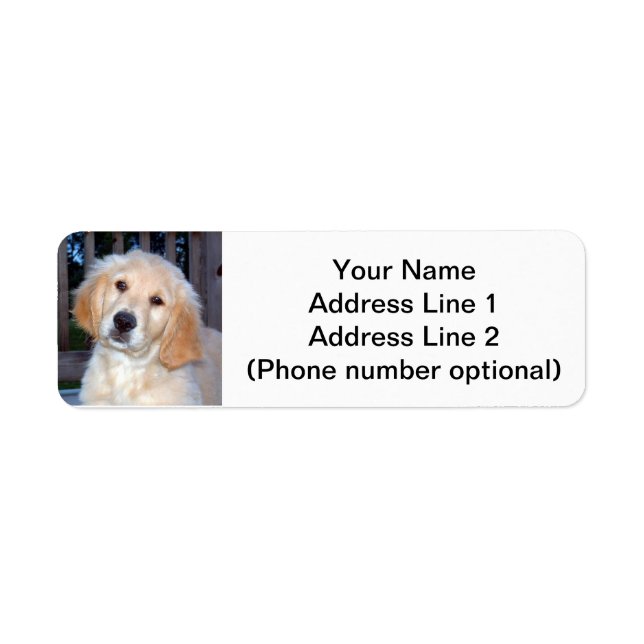 Golden Retriever Puppy Label (Front)