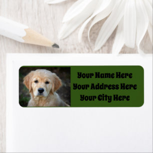 Golden Retriever Puppy Label