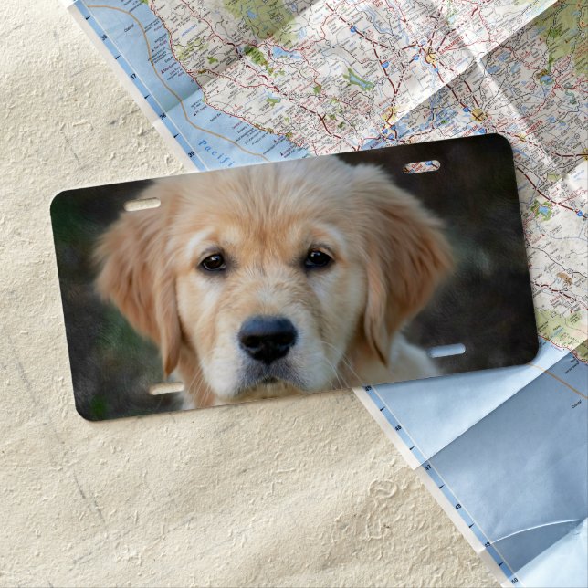 Golden Retriever Puppy License Plate (In Situ)