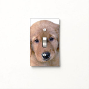 Golden Retriever Puppy Light Switch Cover