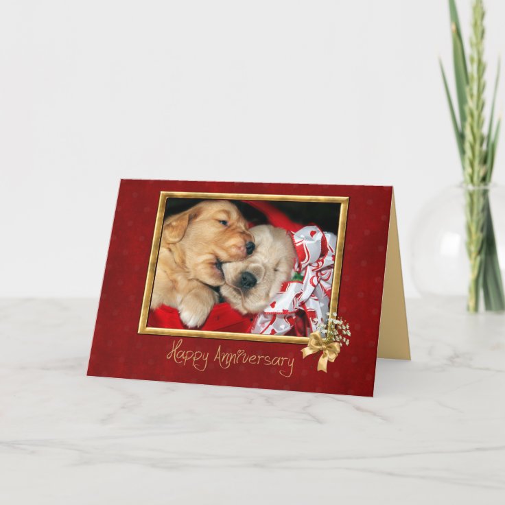 Golden Retriever puppy love anniversary Card | Zazzle