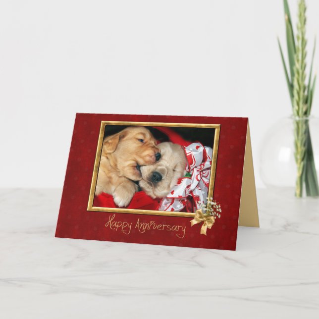 Golden Retriever puppy love anniversary Card (Front)