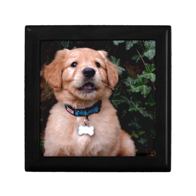 Golden Retriever Puppy- monogram Jewelry Box (Front)
