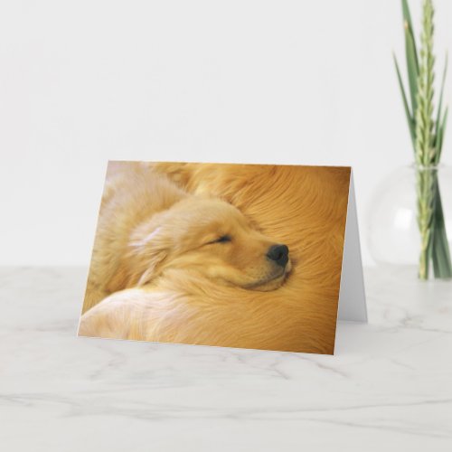 Golden Retriever Puppy Mothers Day Card