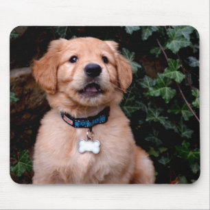 Golden Retriever Puppy Mouse Pad