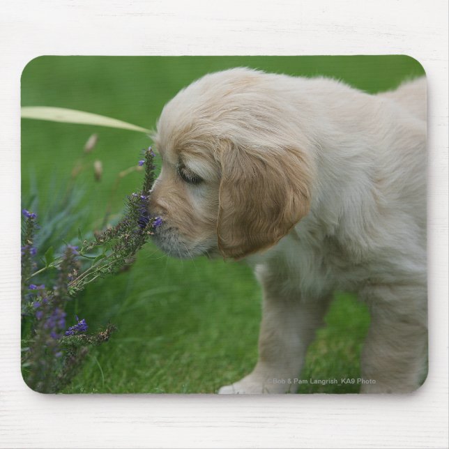Golden Retriever Puppy Mouse Pad (Front)