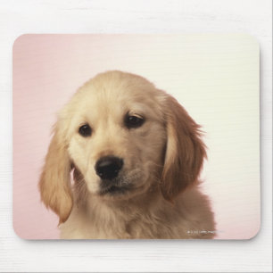 Golden retriever puppy mouse pad