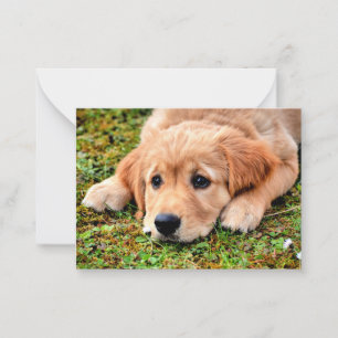 Golden Retriever Puppy Note Card