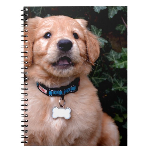 Golden Retriever Puppy Notebook (Front)