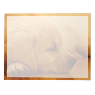 Golden Retriever Puppy Notepad