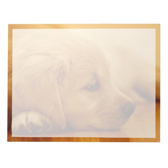 Golden Retriever Puppy Notepad (Front)