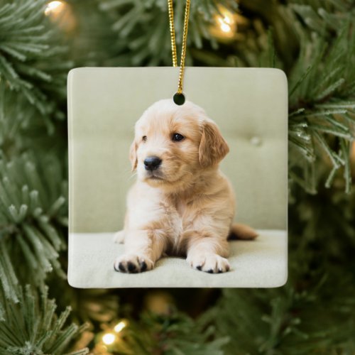 Golden Retriever Puppy on Couch Ceramic Ornament