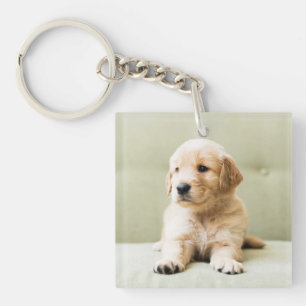 Golden Retriever Puppy on Couch Keychain