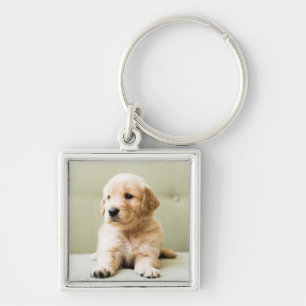Golden Retriever Puppy on Couch Keychain
