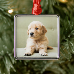 Golden Retriever Puppy on Couch Metal Ornament