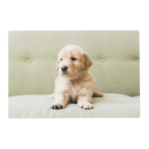 Golden Retriever Puppy on Couch Placemat
