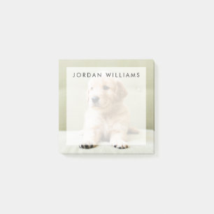 Golden Retriever Puppy on Couch Post-it Notes