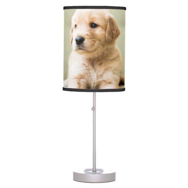 Golden Retriever Puppy on Couch Table Lamp (Front)