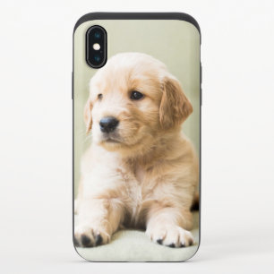 Golden Retriever Puppy on Couch iPhone X Slider Case