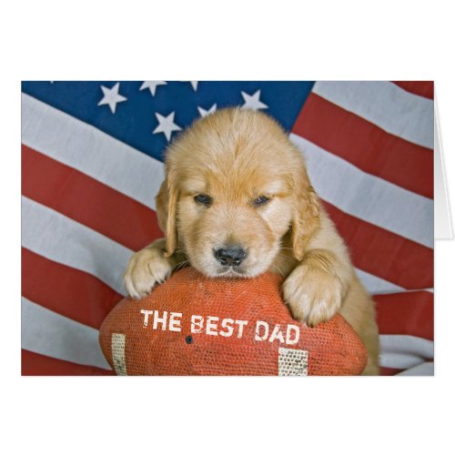 Golden Retriever puppy on football for Dad