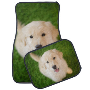 Golden Retriever Puppy on Grass Car Floor Mat