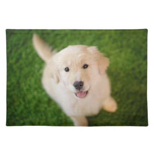 Golden Retriever Puppy on Grass Cloth Placemat