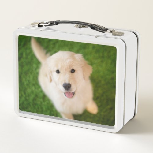 Golden Retriever Puppy on Grass Metal Lunch Box