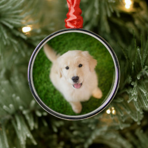 Golden Retriever Puppy on Grass Metal Ornament