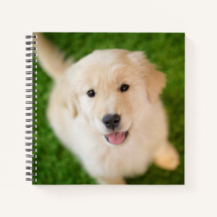 Golden Retriever Puppy on Grass Notebook
