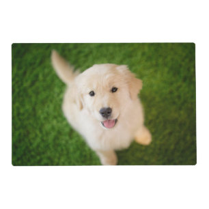 Golden Retriever Puppy on Grass Placemat