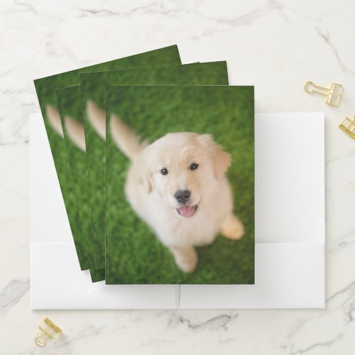 Golden Retriever Puppy on Grass Pocket Folder