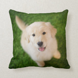 Golden Retriever Puppy on Grass Throw Pillow
