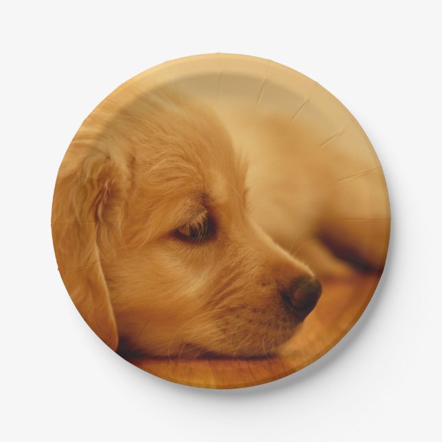 Golden Retriever Puppy Paper Plates (Front)