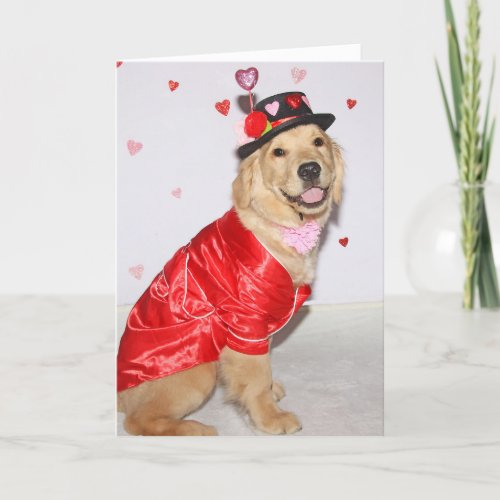 Golden Retriever Puppy Pawsome Valentines Day Holiday Card