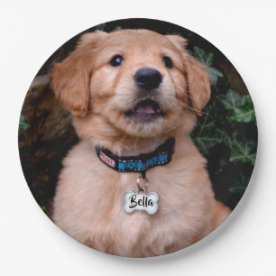 Golden Retriever Puppy personalize name tag Paper Plates