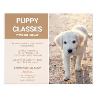 Golden Retriever Puppy Photo Custom Puppy Classes Flyer