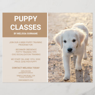 Golden Retriever Puppy Photo Custom Puppy Classes Flyer