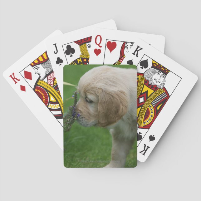 Golden Retriever Puppy Poker Cards (Back)