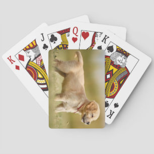 Golden Retriever Puppy Poker Cards