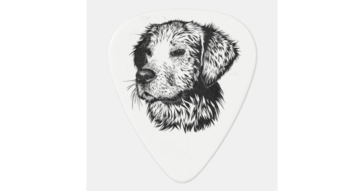 Golden Retriever Puppy Portrait In Black And White Guitar Pick Zazzle Com