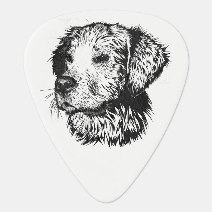 Golden Retriever Puppy Portrait In Black And White Guitar Pick Zazzle Com