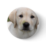 Golden Retriever Puppy Round Pin