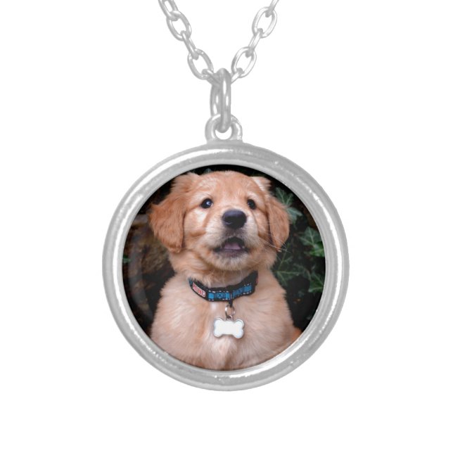 Golden Retriever Puppy Silver Plated Necklace (Front)